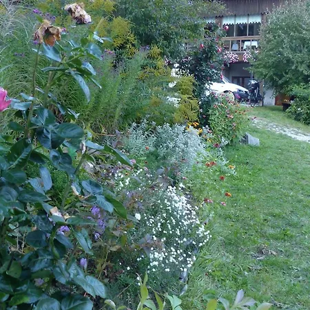 Ferienwohnung,